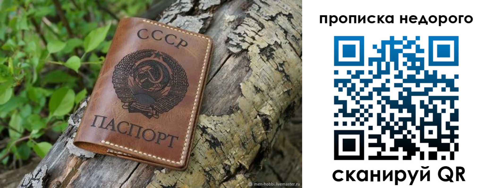 временная регистрация поиск в Георгиевске